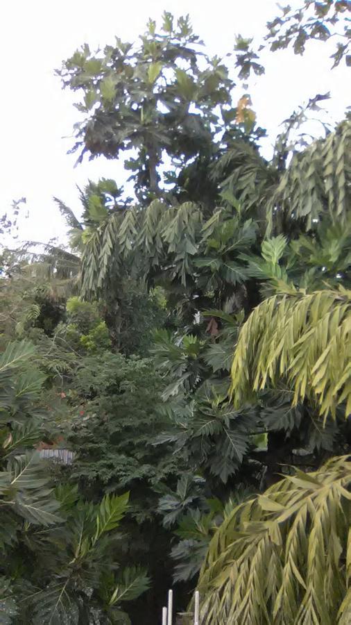 Mallika Resort Mirissa Kültér fotó