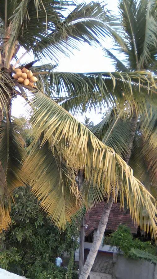 Mallika Resort Mirissa Kültér fotó